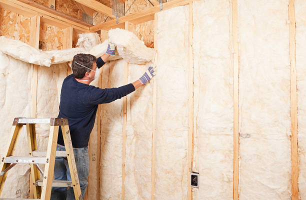 Best Crawl Space Insulation  in Gate City, VA